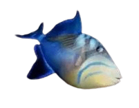Fish from Windows 95 screensaver